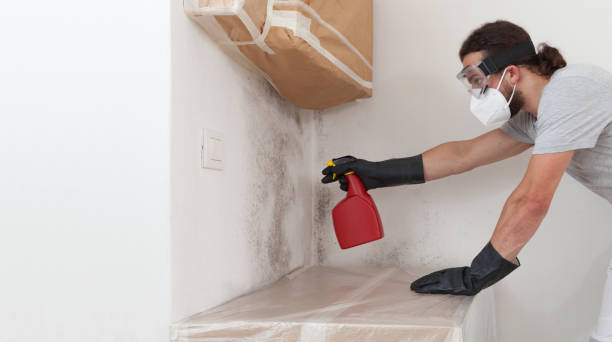 Professional Bathroom Mold Removal technician working in Hermitage, TN