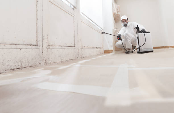 24/7 Emergency Bathroom Mold Removal experts in Hermitage, TN