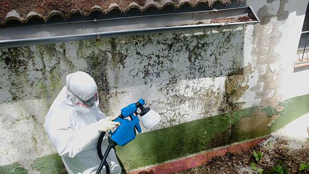 Top rated local Bathroom Mold Removal specialists in Hermitage, TN